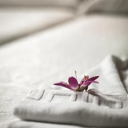 Posada Cicero Fogadó Cicero